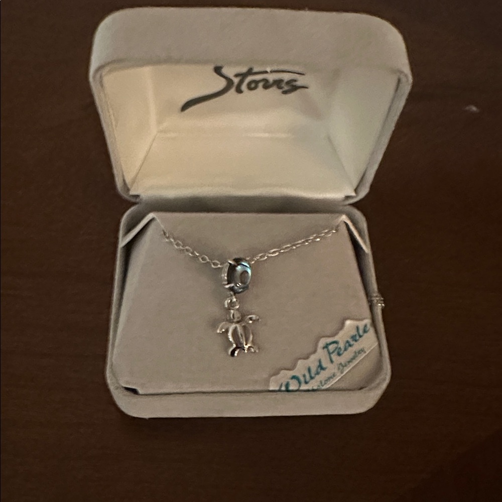 Silver Island Turtle and abalone necklace